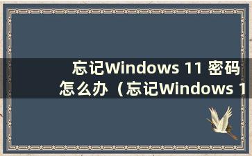 忘记Windows 11 密码怎么办（忘记Windows 11 开机密码怎么办）